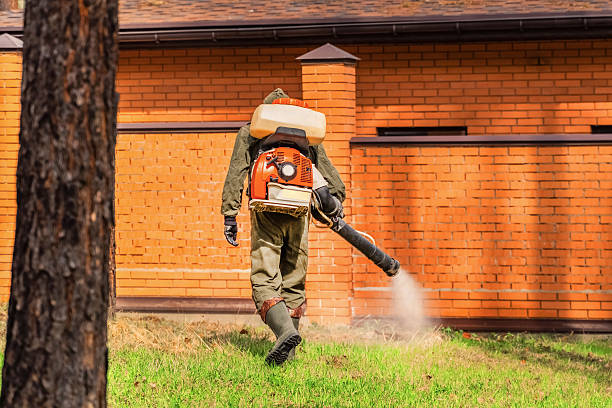 Trusted Emergency Pest Control service in Jefferson Valley-Yorktown, NY - Nex Pest Control